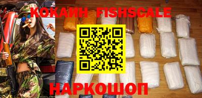 a pvp Новозыбков