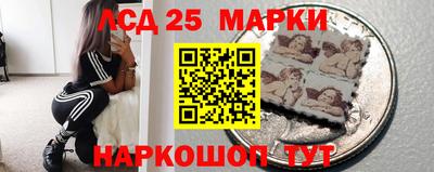 a pvp Новозыбков