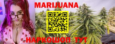 шишки Новодвинск