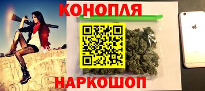 шишки Новодвинск