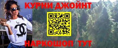 a pvp Новозыбков