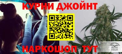 шишки Новодвинск