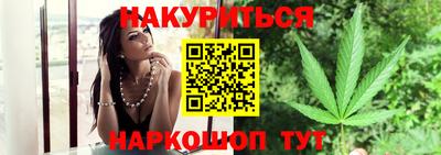 шишки Новодвинск