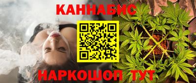 шишки Новодвинск