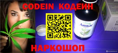 a pvp Новозыбков