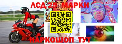 шишки Новодвинск