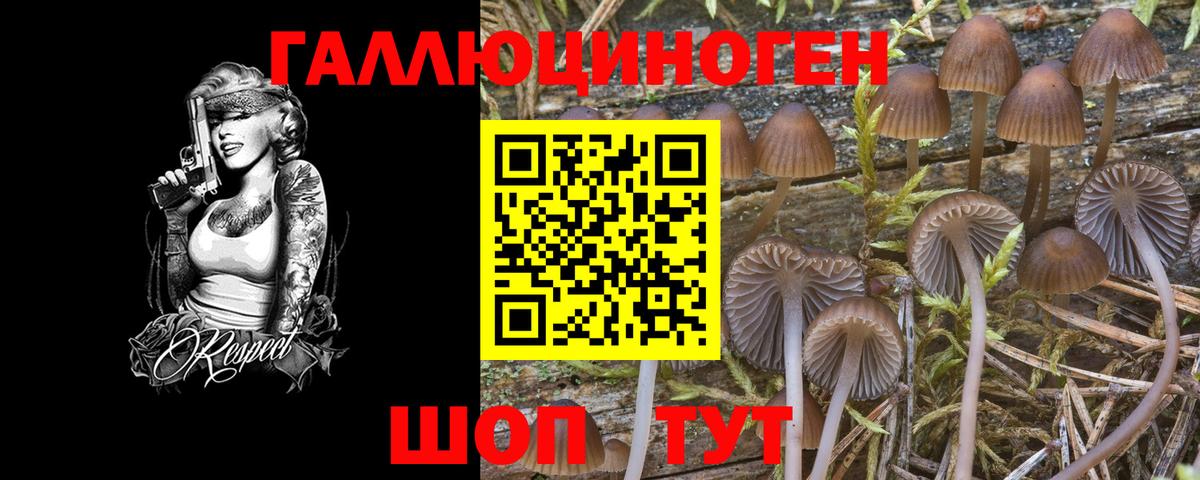 Галлюциногенные грибы ЛСД Тайшет