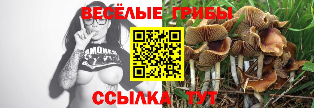 Псилоцибиновые грибы мицелий  Псилоцибиновые грибы Magic Shrooms  Вход с VPN  Тайшет 